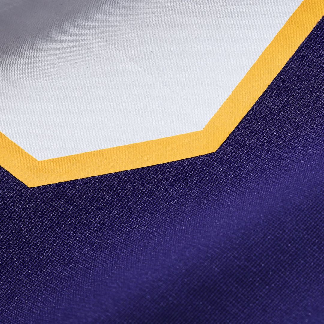 Men's Minnesota Vikings Randy Moss Nike White Alternate Retired Player Game Jersey