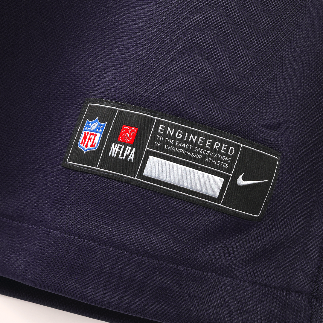 Men's Minnesota Vikings Andrew Van Ginkel Nike Purple 2026 Rivalries Collection Game Jersey