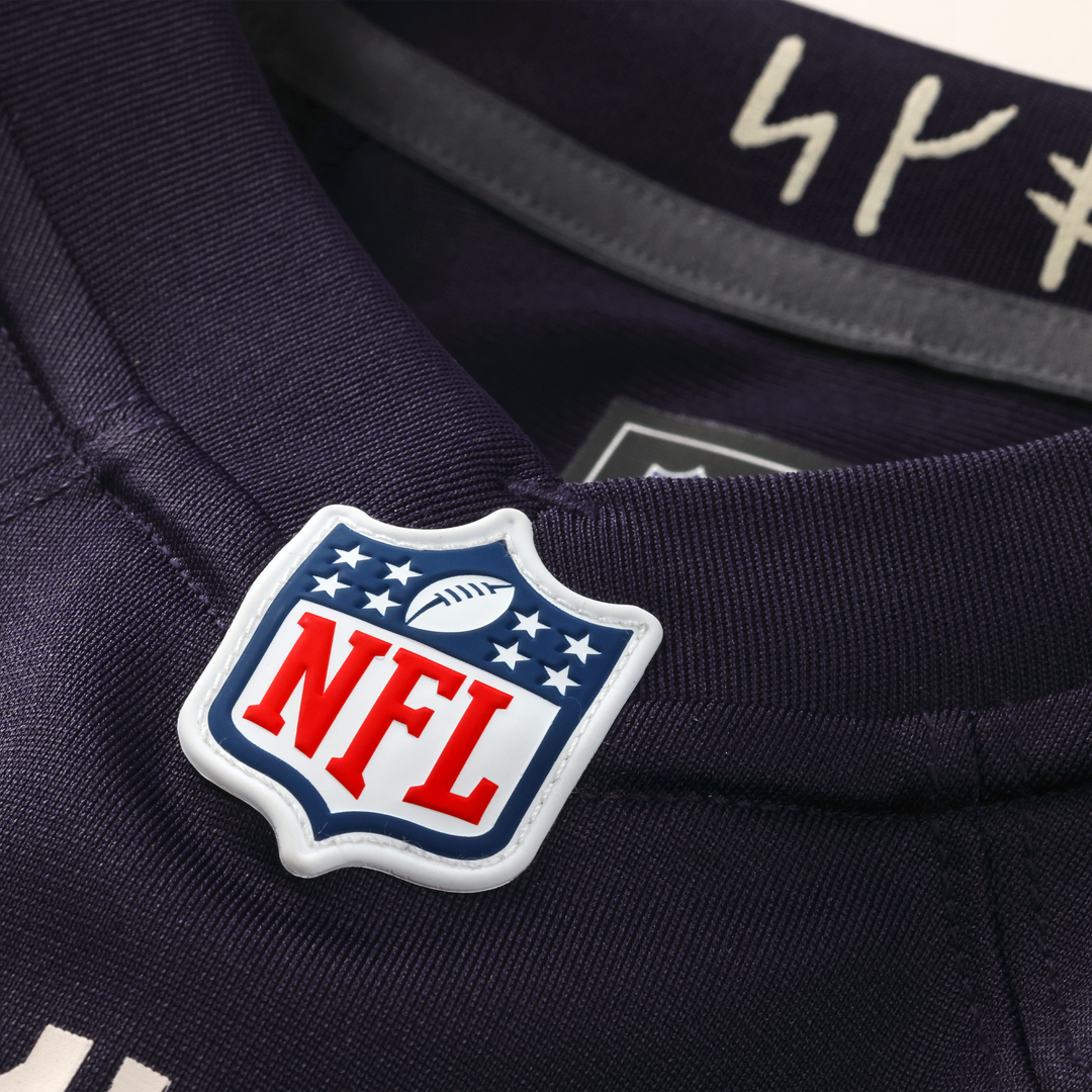 Men's Minnesota Vikings Andrew Van Ginkel Nike Purple 2026 Rivalries Collection Game Jersey